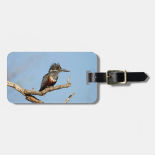 Giant Kingfisher Luggage Tag