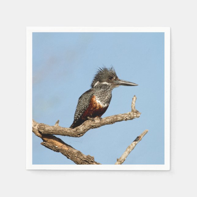 Giant Kingfisher Napkin (Front)