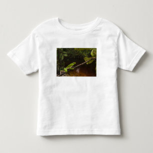 Giant leaf frog Phyllomedusa bicolor) 2 Toddler T-shirt