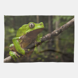 Giant leaf frog Phyllomedusa bicolor) Kitchen Towel