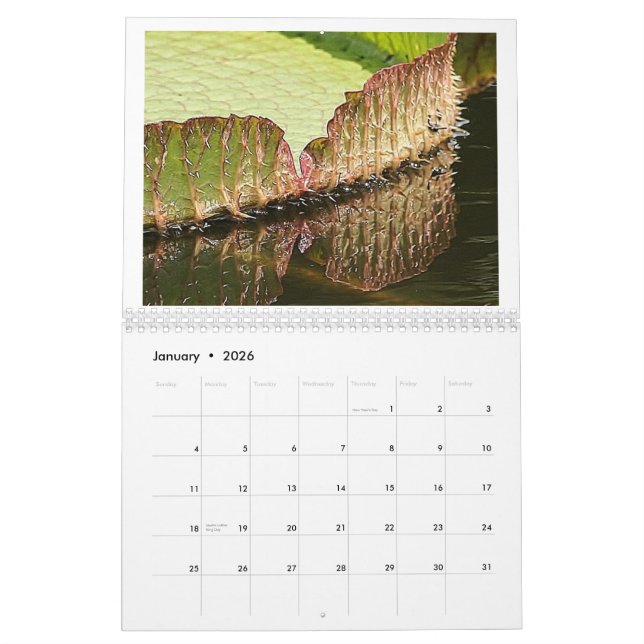 Giant Lily Pads 2013 Calendar (Jan 2026)