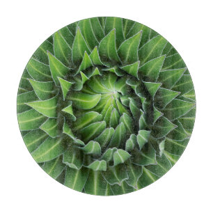 Giant Lobelia   Mount Kenya National Park, Kenya Cutting Board
