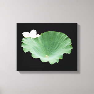 Giant Lotus Leaf with Bloom Canvas Print