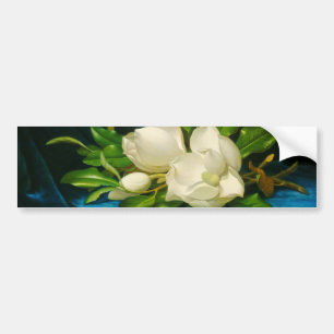 Giant Magnolias on a Blue Velet Cloth (Heade) Bumper Sticker