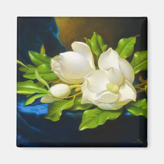 Giant Magnolias on a Blue Velvet Canvas  Magnet (Front)