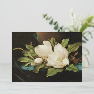 Giant Magnolias on a Blue Velvet Cloth by MJ Heade