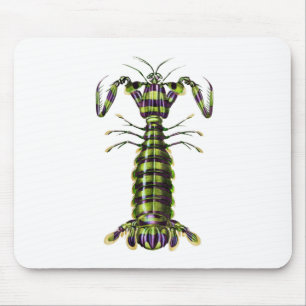 Giant mantis shrimp Praying Mentis Mouse Pad