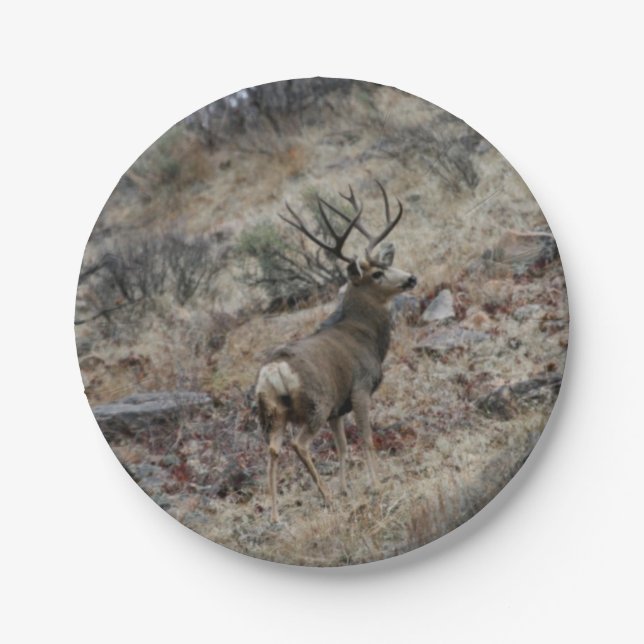 Giant mule deer buck paper plate (Front)