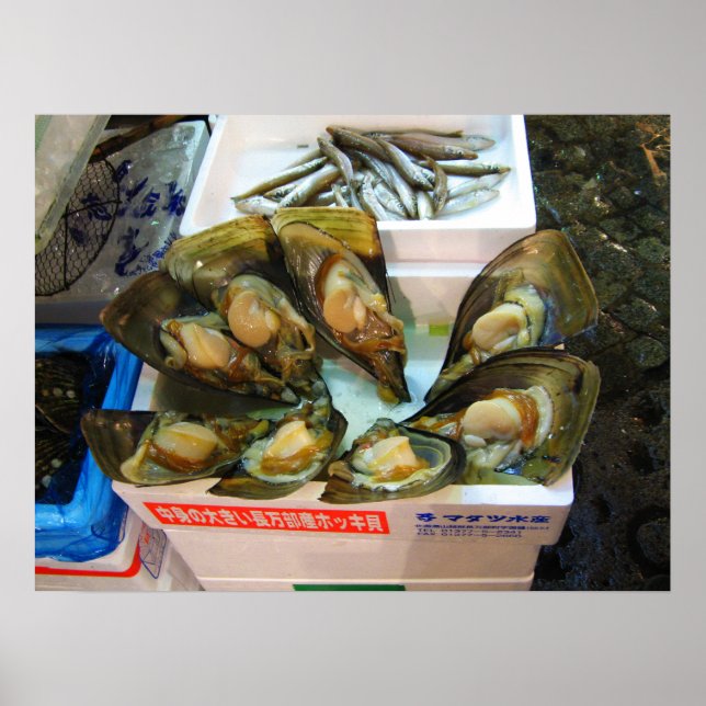 Giant Mussels Tsukiji Fish Market, Tokyo, Japan Poster (Front)