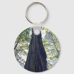 Giant Neverending Redwood Tree Keychain