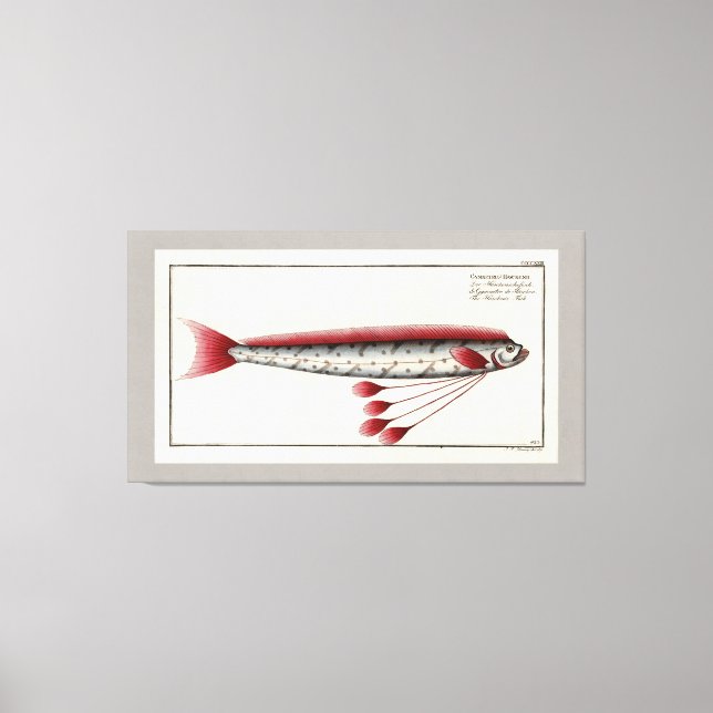 Giant Oarfish Vintage Print (Front)