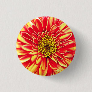 Giant Orange and Golden Yellow Aster Flower  1 Inch Round Button