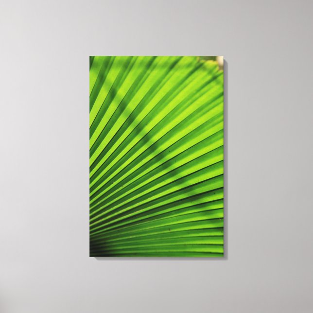 Giant Palm Leaf Pattern Canvas Print (Front)