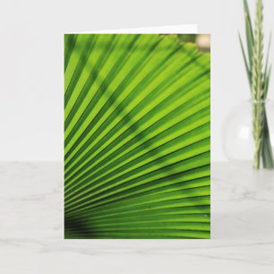Giant Palm Leaf Pattern Card
