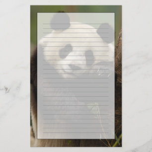 Giant panda Ailuropoda melanoleuca) Family Stationery