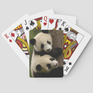 Giant panda babies (Ailuropoda melanoleuca) 2 Playing Cards