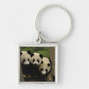 Giant panda babies Ailuropoda melanoleuca) Keychain