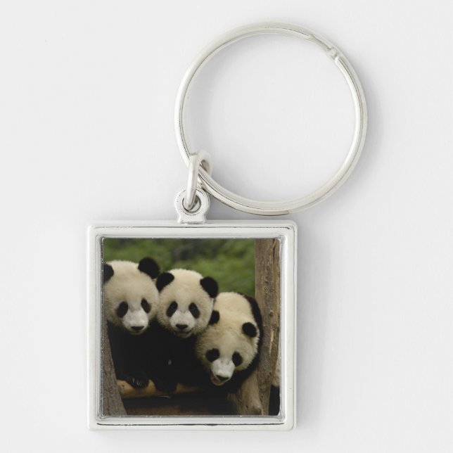 Giant panda babies Ailuropoda melanoleuca) Keychain (Front)