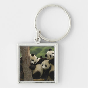 Giant panda babies Ailuropoda melanoleuca) Keychain