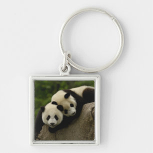 Giant panda babies Ailuropoda melanoleuca) Keychain