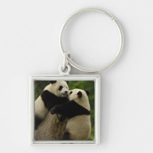 Giant panda babies (Ailuropoda melanoleuca) Keychain