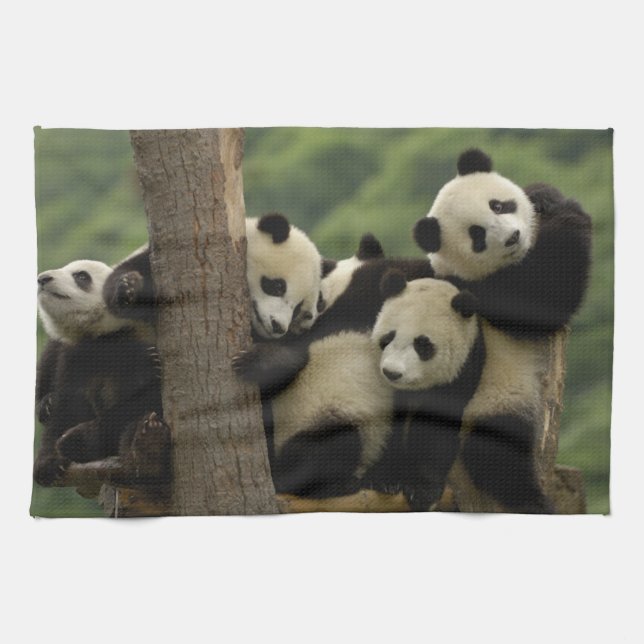 Giant panda babies Ailuropoda melanoleuca) Kitchen Towel (Horizontal)
