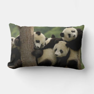 Giant panda babies Ailuropoda melanoleuca) Lumbar Pillow