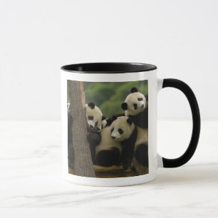 Giant panda babies Ailuropoda melanoleuca) Mug
