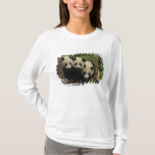 Giant panda babies Ailuropoda melanoleuca) T-Shirt