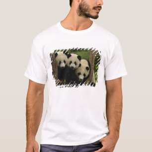 Giant panda babies Ailuropoda melanoleuca) T-Shirt
