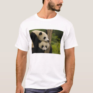 Giant panda babies Ailuropoda melanoleuca) T-Shirt