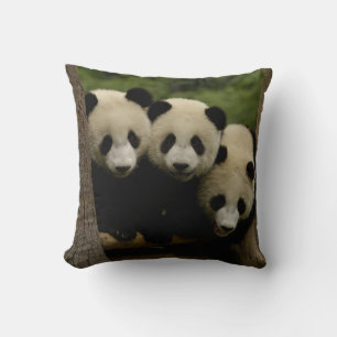 Giant panda babies Ailuropoda melanoleuca) Throw Pillow