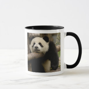 Giant panda baby Ailuropoda melanoleuca) Mug