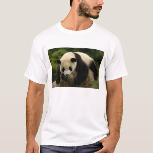 Giant panda baby (Ailuropoda melanoleuca) T-Shirt