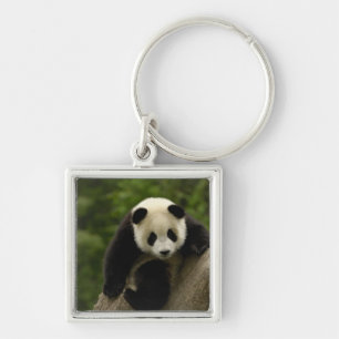 Giant panda baby keychain