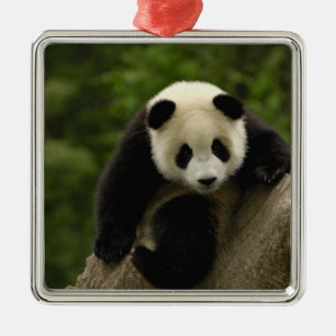 Giant panda baby metal ornament
