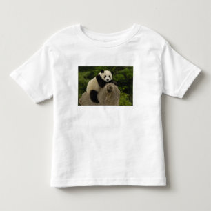 Giant panda baby toddler t-shirt