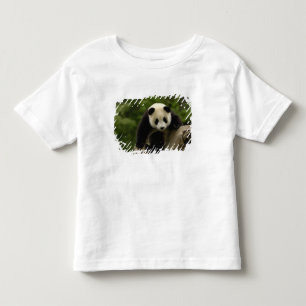 Giant panda baby toddler t-shirt