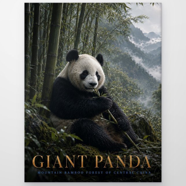 Giant Panda Bamboo Forest ANIMALS Postcard (Creator Uploaded)