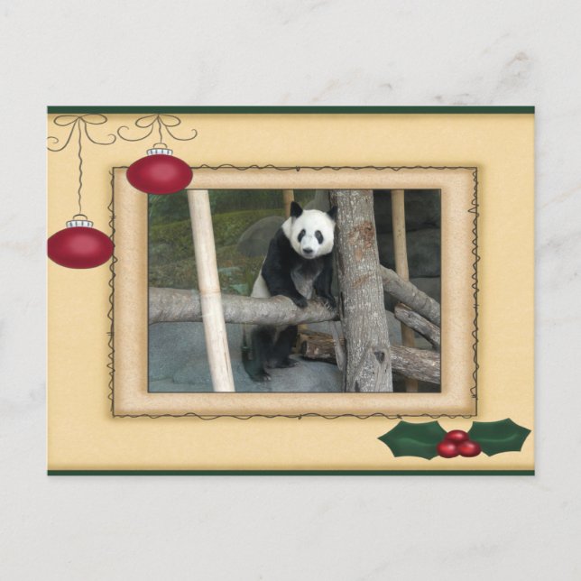 Giant Panda Bear & Baby Panda Christmas Card (Front)