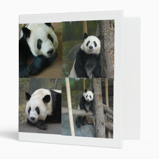 Giant Panda Bear Binder (Front/Inside)