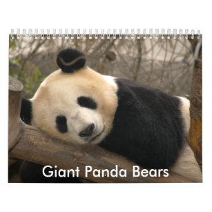 Giant Panda Bear Calendar, Giant Panda Bears Calendar