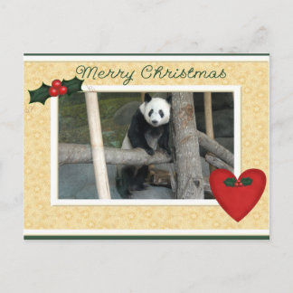 Giant Panda Bear or Baby Panda Christmas Postcard