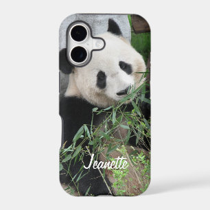 Giant Panda Bear, Personalized Name,