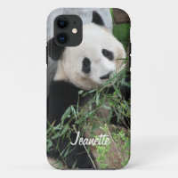 Giant Panda Bear, Personalized Name,