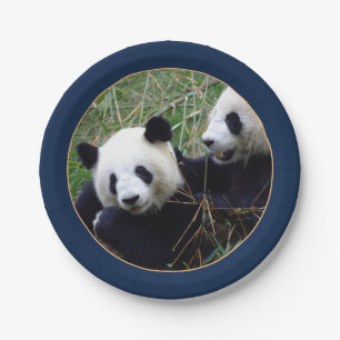 Giant Panda Bears Eating Bamboo (Party) Paper Plat Plate