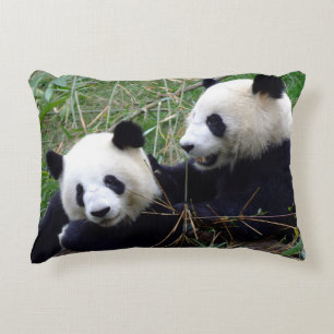Giant Panda Bears Eating Bamboo & Playing (funny) Accent Pillow