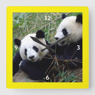 Giant Panda Bears Playing & Bamboo Eating (funny) Square Wall Clock
