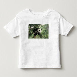 Giant Panda cub climbs a tree, Wolong Valley, Toddler T-shirt