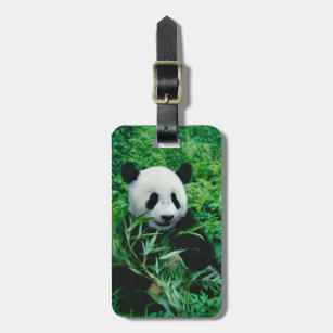Giant Panda cub eats bamboo in the bush, Luggage Tag